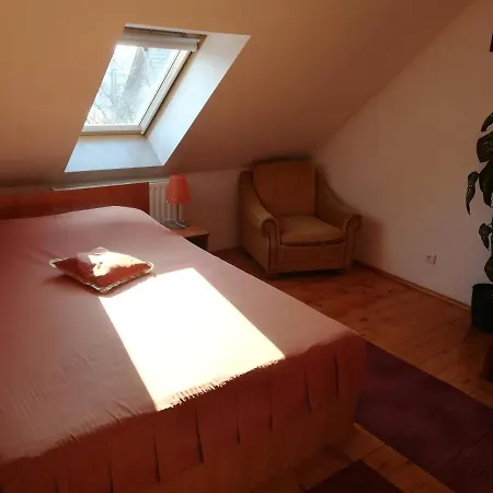 Casa Plesca Guest house