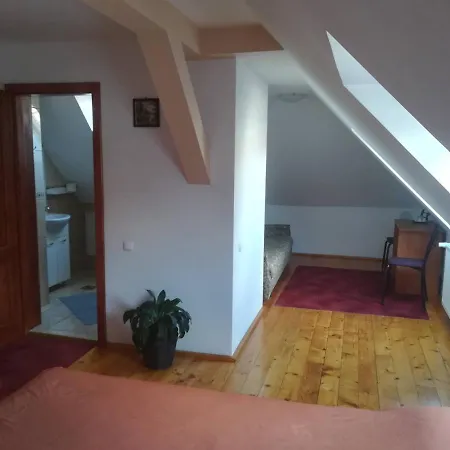 Guest house Casa Plesca *