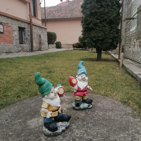 Guest house Casa Plesca *
